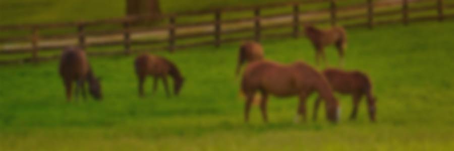 Equine sanitary programs