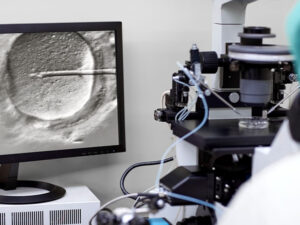 10 – Biotecnologías reproductivas