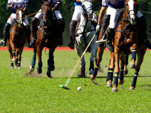 Disertación: Uso de la genómica en la mejora del caballo de polo: Cómo los mejores caballos nos cuentan sus secretos y cómo aprovecharlos
