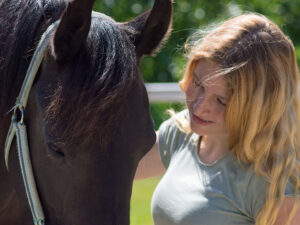 Curso: Manejo Practico del comportamiento equino