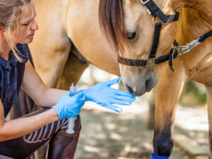 Curso: Bioseguridad en el manejo de caballos