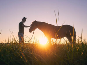 Puntos críticos en la cría de caballos | Doma y entrenamiento: supervivencia e improvisación