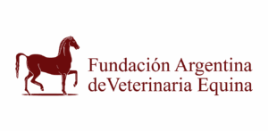 Fundación FAVE