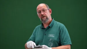 Hans Castelijns