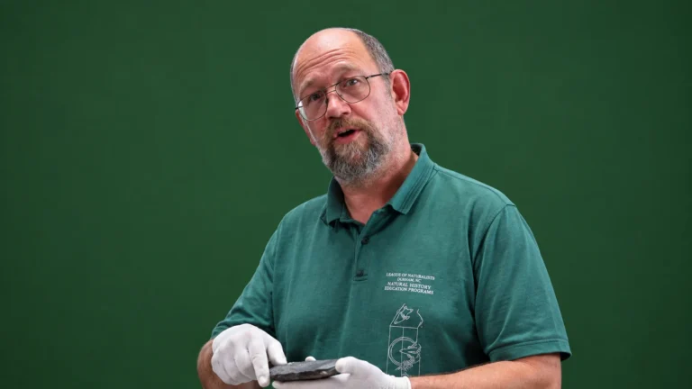 Hans Castelijns