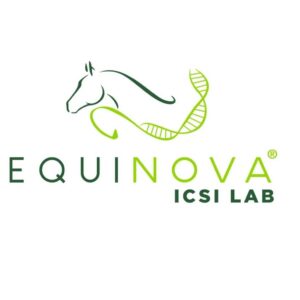 Equinova