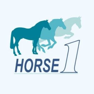 Horse1
